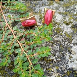 Vintage, 1950s - 60s, Swank cabochon red/pink and gold tone tone cufflinks, MCM